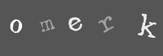 Please type the characters of this captcha image in the input box