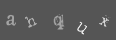 Please type the characters of this captcha image in the input box