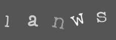 Please type the characters of this captcha image in the input box
