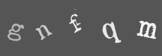 Please type the characters of this captcha image in the input box