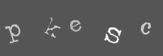 Please type the characters of this captcha image in the input box