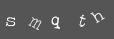 Please type the characters of this captcha image in the input box
