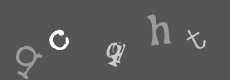 Please type the characters of this captcha image in the input box