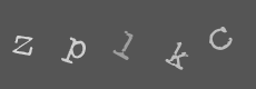 Please type the characters of this captcha image in the input box