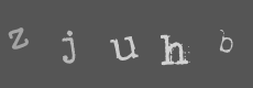 Please type the characters of this captcha image in the input box