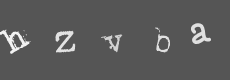 Please type the characters of this captcha image in the input box