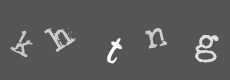 Please type the characters of this captcha image in the input box