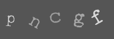 Please type the characters of this captcha image in the input box