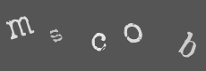 Please type the characters of this captcha image in the input box