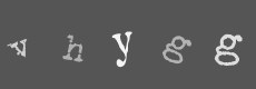 Please type the characters of this captcha image in the input box