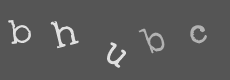Please type the characters of this captcha image in the input box