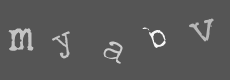 Please type the characters of this captcha image in the input box