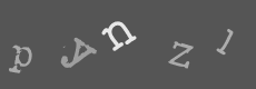 Please type the characters of this captcha image in the input box