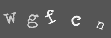 Please type the characters of this captcha image in the input box