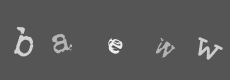 Please type the characters of this captcha image in the input box