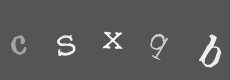 Please type the characters of this captcha image in the input box