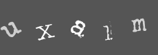 Please type the characters of this captcha image in the input box