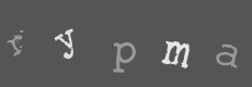Please type the characters of this captcha image in the input box