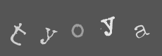 Please type the characters of this captcha image in the input box