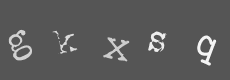 Please type the characters of this captcha image in the input box