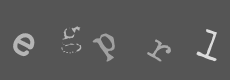 Please type the characters of this captcha image in the input box