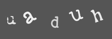 Please type the characters of this captcha image in the input box