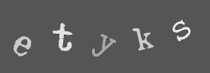 Please type the characters of this captcha image in the input box