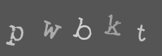 Please type the characters of this captcha image in the input box