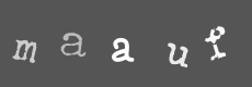 Please type the characters of this captcha image in the input box