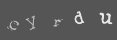 Please type the characters of this captcha image in the input box