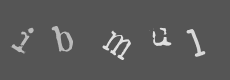 Please type the characters of this captcha image in the input box
