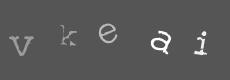 Please type the characters of this captcha image in the input box