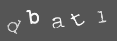 Please type the characters of this captcha image in the input box