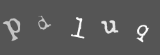 Please type the characters of this captcha image in the input box