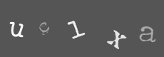 Please type the characters of this captcha image in the input box