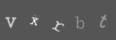 Please type the characters of this captcha image in the input box
