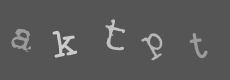 Please type the characters of this captcha image in the input box