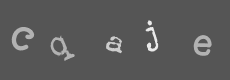 Please type the characters of this captcha image in the input box