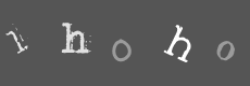 Please type the characters of this captcha image in the input box