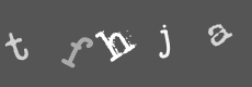 Please type the characters of this captcha image in the input box