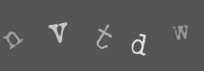 Please type the characters of this captcha image in the input box