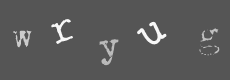 Please type the characters of this captcha image in the input box