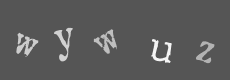 Please type the characters of this captcha image in the input box