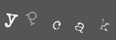 Please type the characters of this captcha image in the input box
