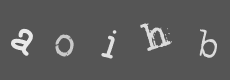 Please type the characters of this captcha image in the input box