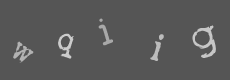 Please type the characters of this captcha image in the input box