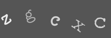 Please type the characters of this captcha image in the input box