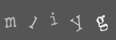 Please type the characters of this captcha image in the input box