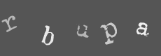 Please type the characters of this captcha image in the input box
