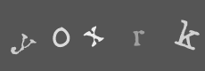 Please type the characters of this captcha image in the input box